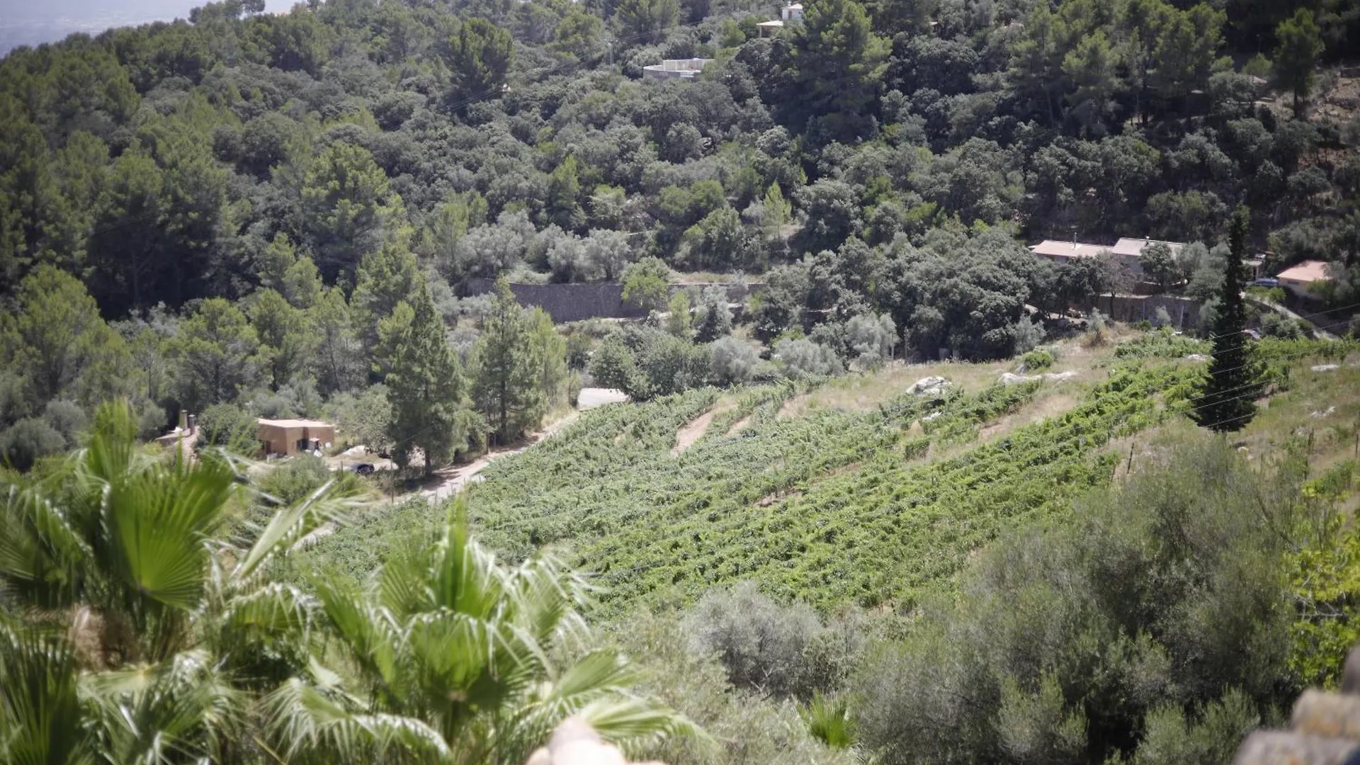 Posada Del Marques Esporles